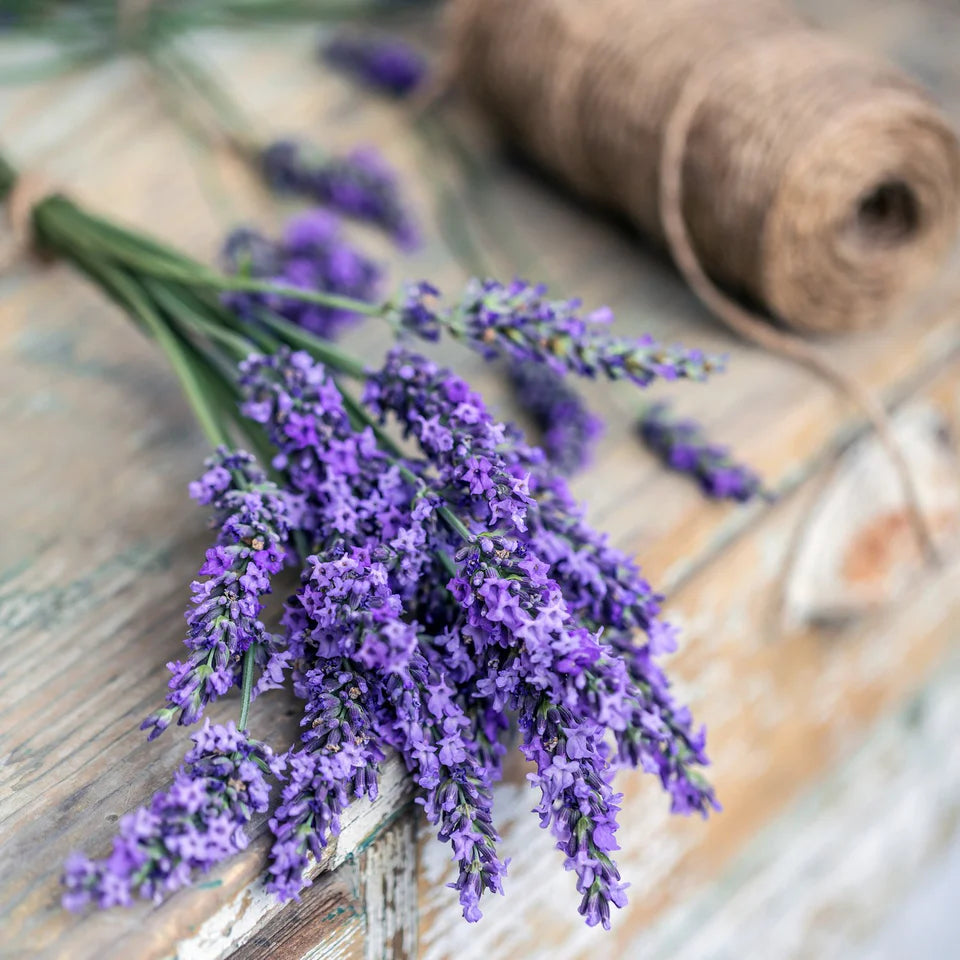 Sweet Lavender Whipped Tallow